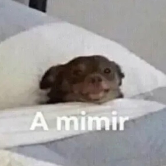 annmichelle304